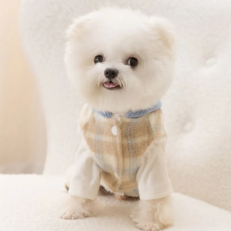 Blue corduroy chessboard grid hooded vest for a dog on a white background.