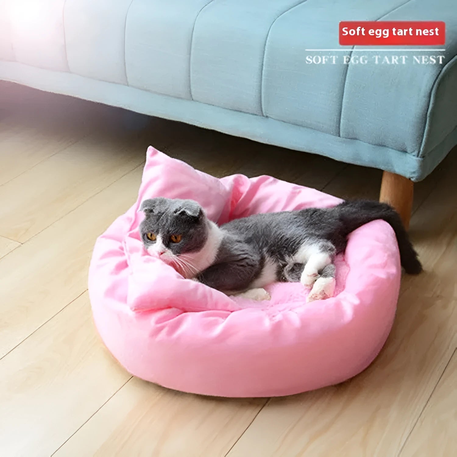 Circular light grey dog bed with PP cotton filling showing raised edges and optional pillow