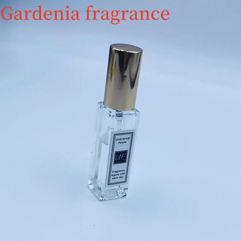 Car aromatherapy stone pendant with 10ml essential oil bottle in gift box packaging