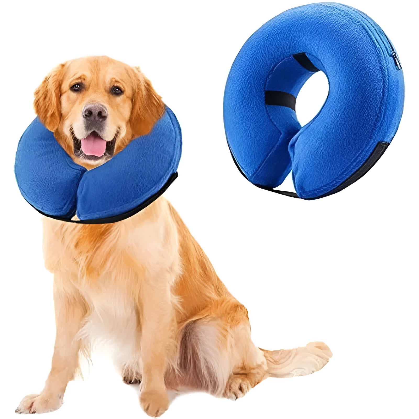 Blue inflatable dog recovery collar fastened around a dog's neck showing soft cone alternative