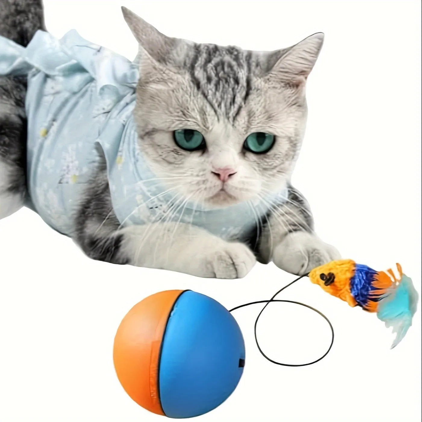 Blue and orange interactive cat toy plush mouse ball with catnip pocket for feline exercise