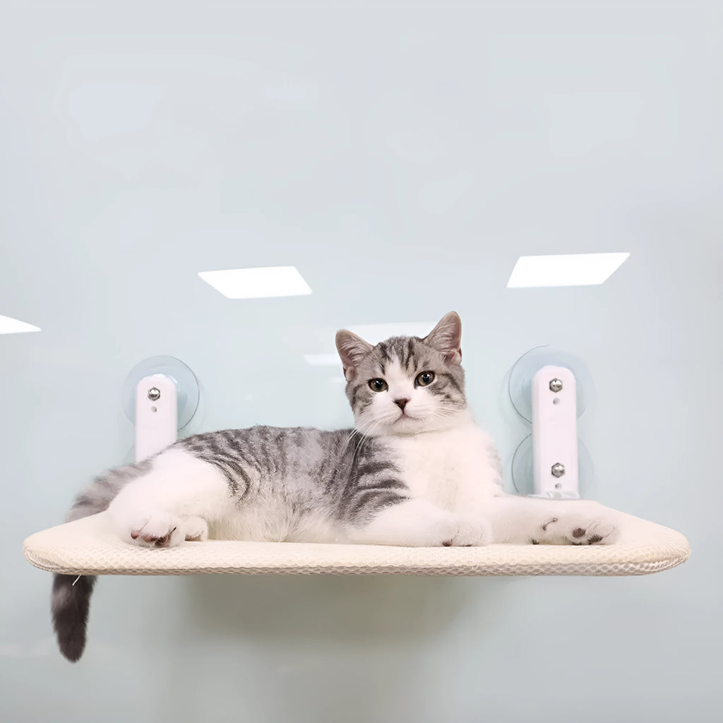 Stainless steel cat hammock with suction cups mounted on window, foldable design with mesh cushion
