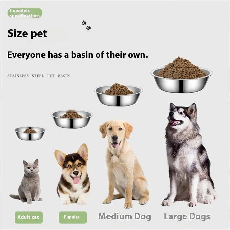 Stainless steel pet bowl for cats and dogs, shown in five different diameter sizes on a plain background.