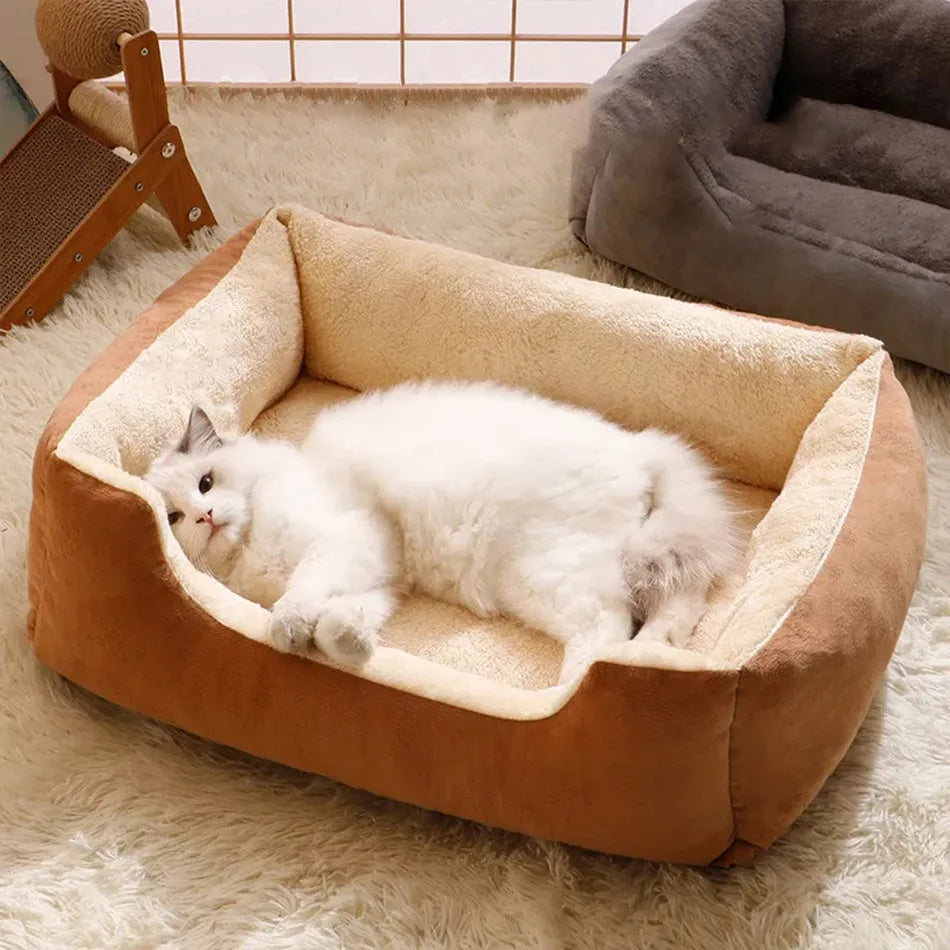 Soft short plush cat bed in grey, shown in a medium size for scale with a cat.