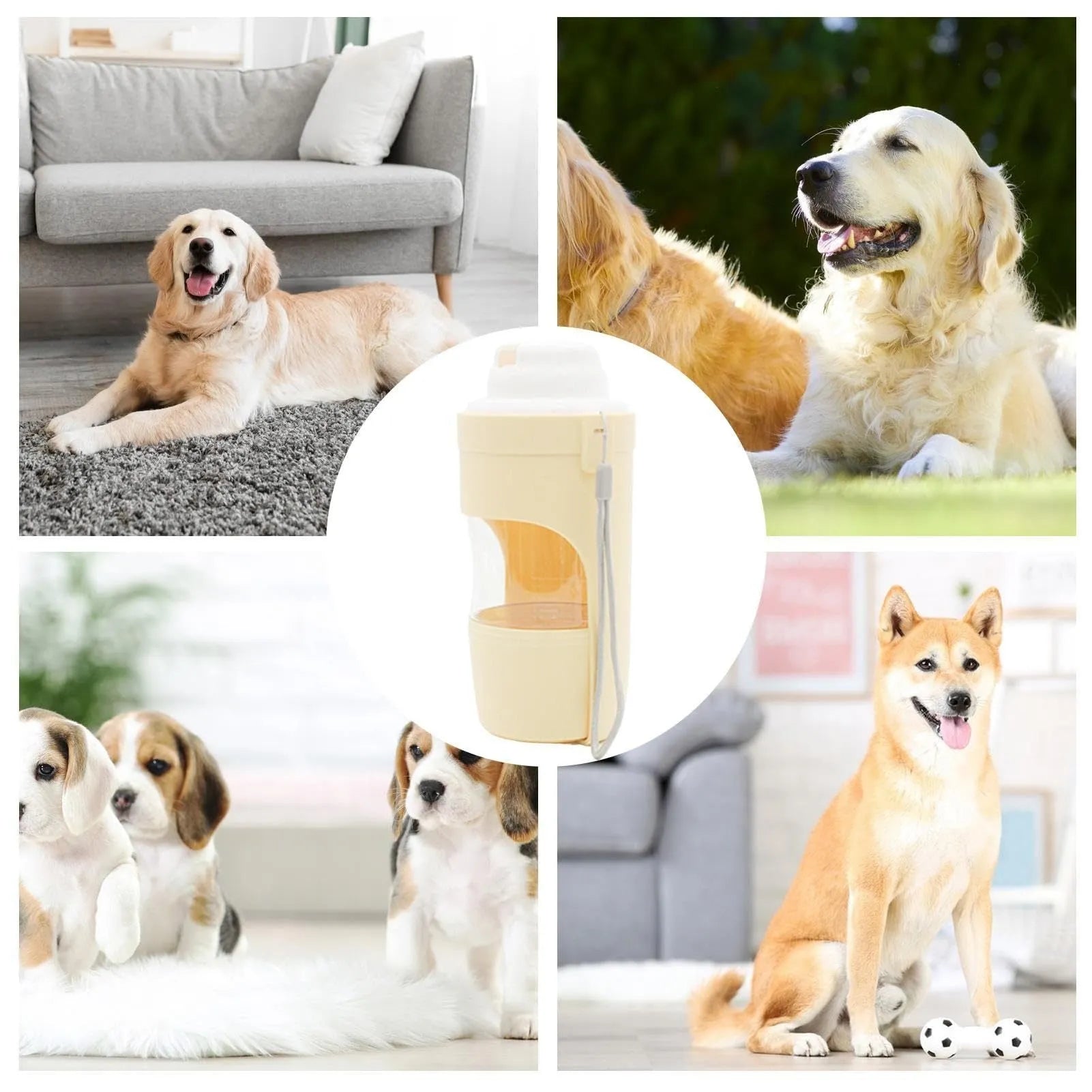 Grey 2-in-1 travel dog water bottle with 690ml capacity, lanyard, and dry-wet separation design for outdoor use