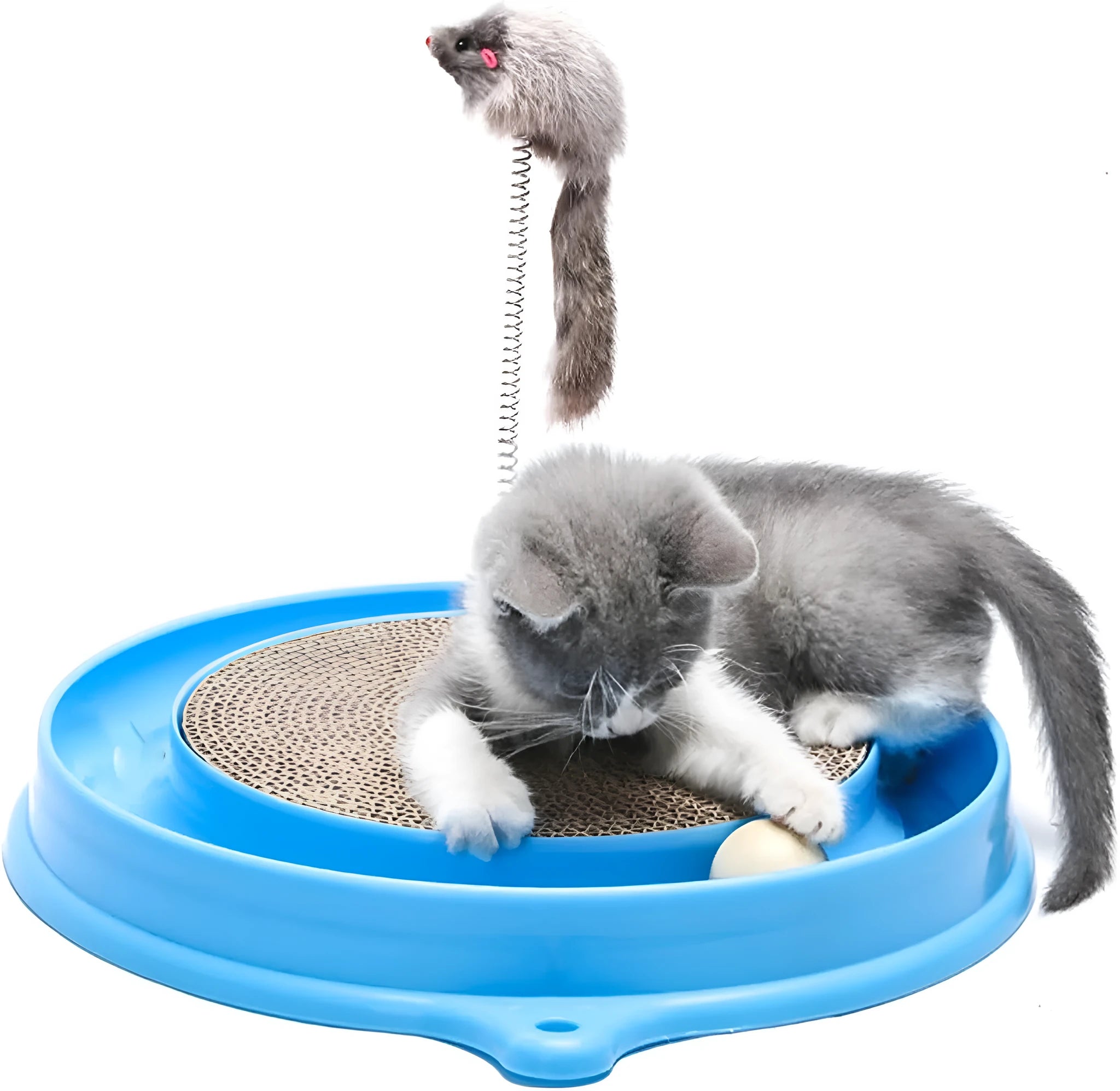 Blue cat scratcher toy with circular ball track and replaceable scratch pad