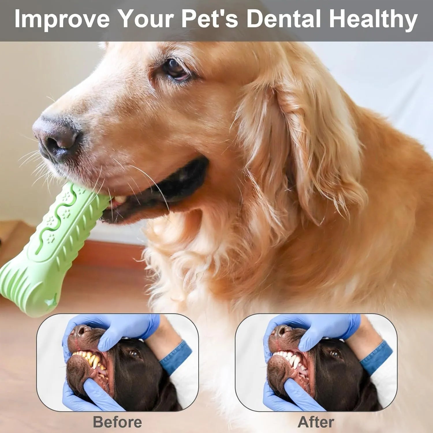 Blue bone-shaped natural rubber dog chew toy with textured surface for teeth cleaning