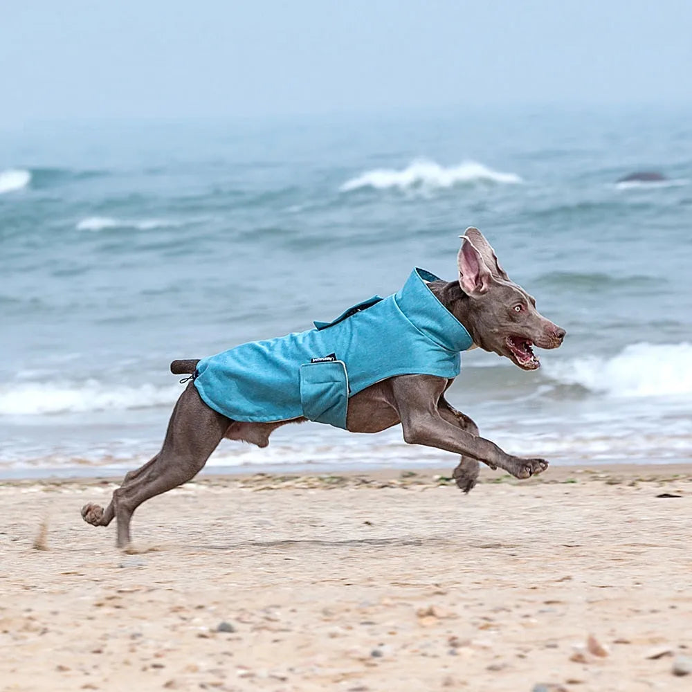 Cold-proof grey polyester dog vest for medium large breed on mannequin