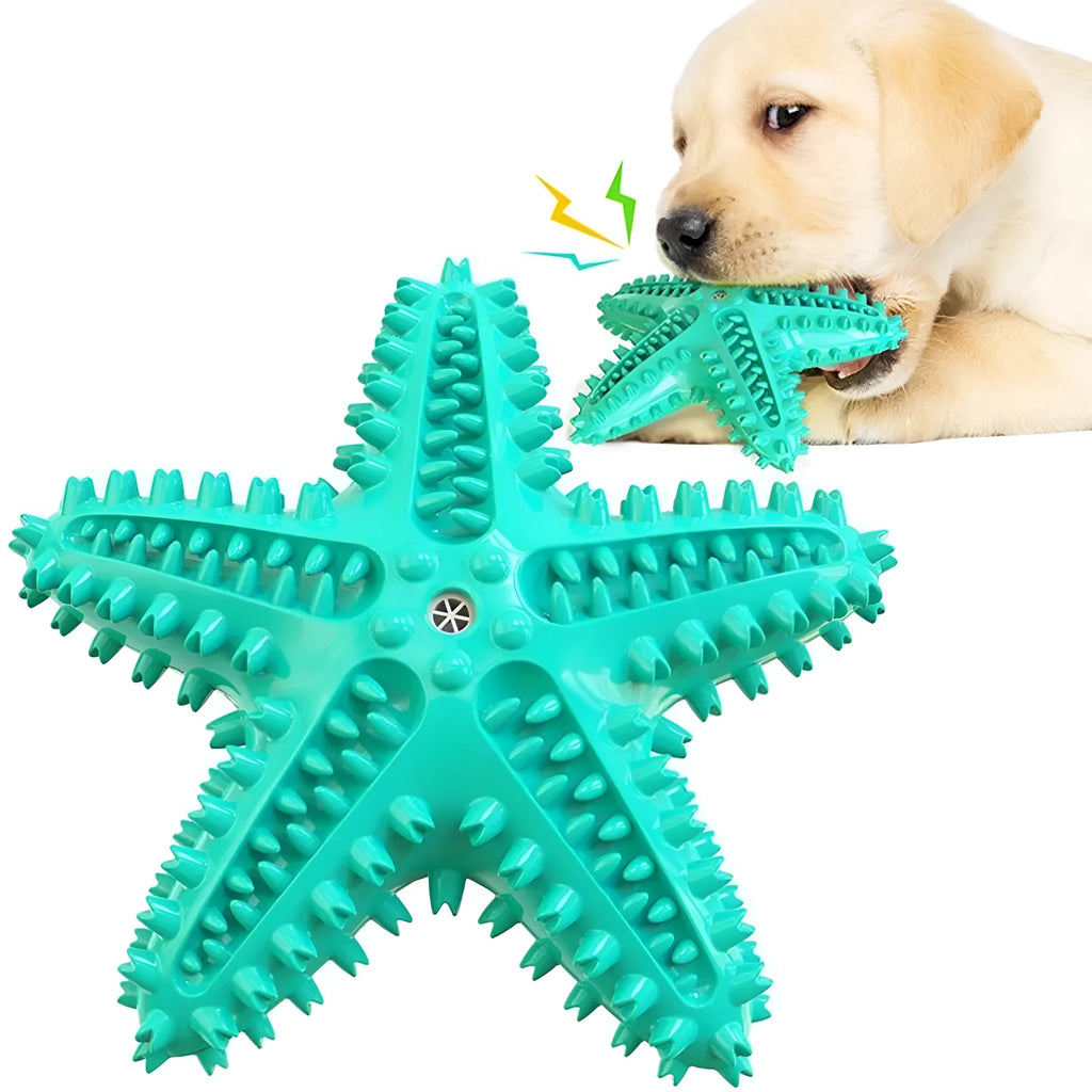 Edible TPR starfish-shaped dog toy for large breeds in blue, green and yellow colour options
