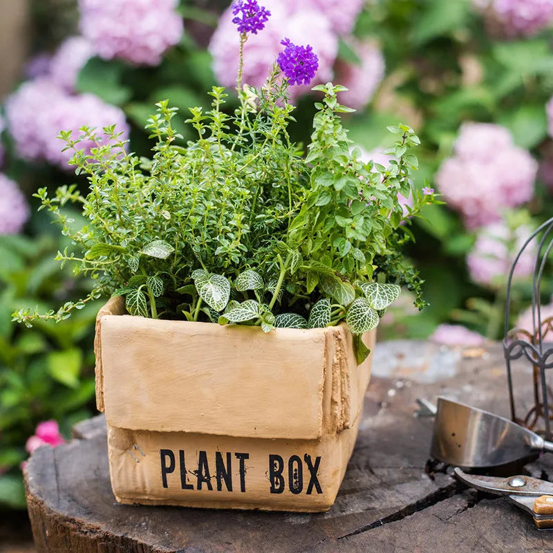 Cement brown paper box flowerpot with drainage holes for indoor planting