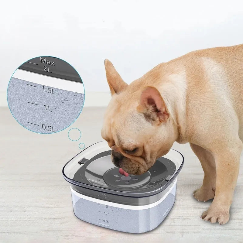 Transparent 70oz dog water bowl with floating disc showing visible water level measurement