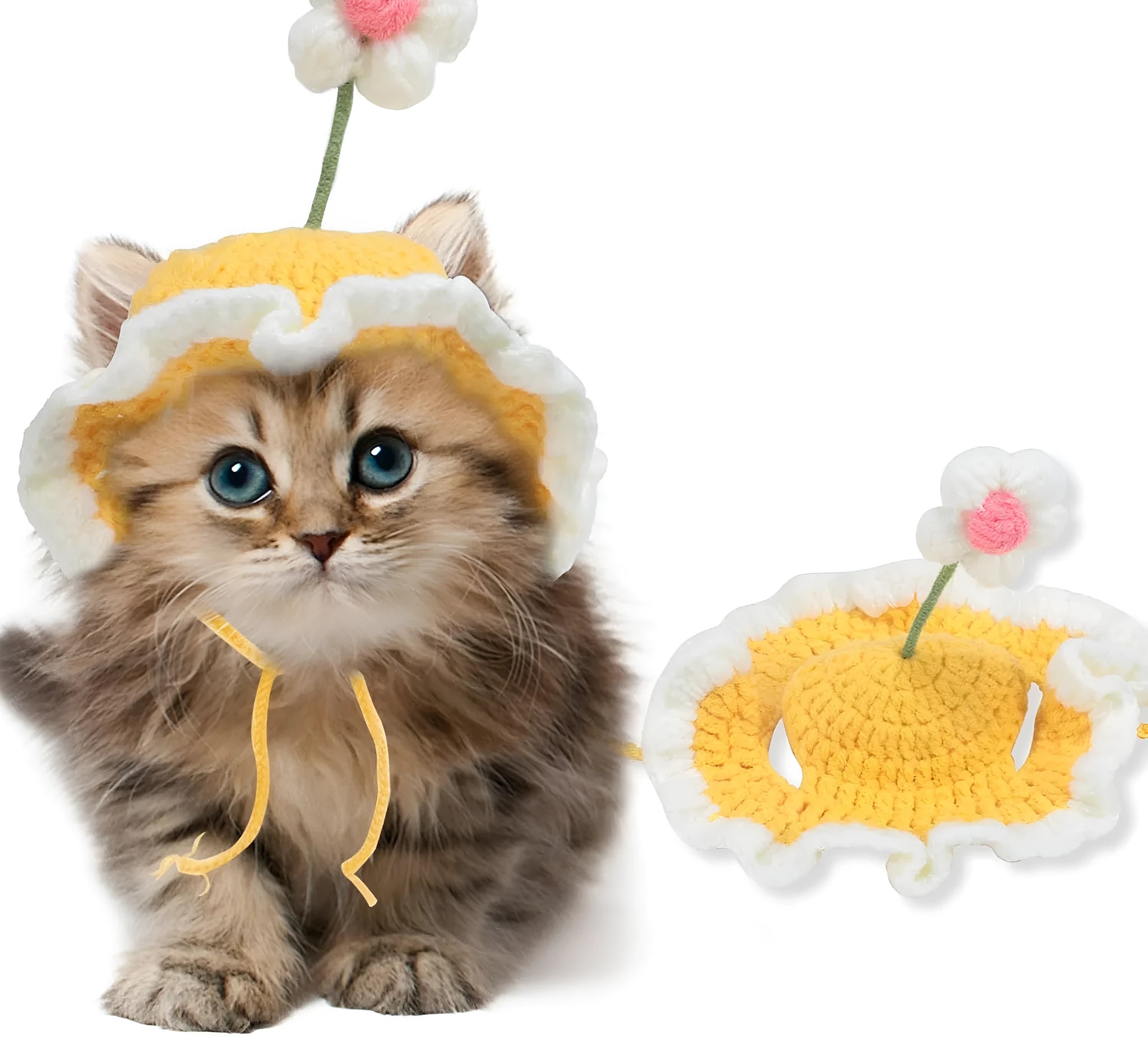 Green knitted cat hat with cartoon face, shown on a small dog as a Halloween costume accessory.