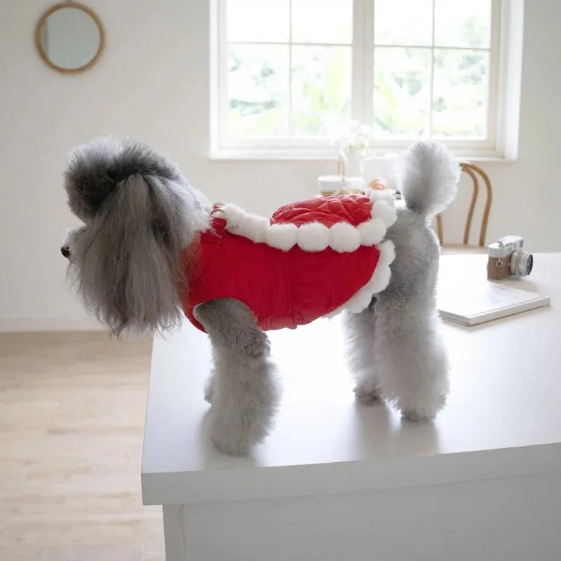 Red Chinese style pet clothing with a thick fur collar and traditional knot decoration on a dog or cat.