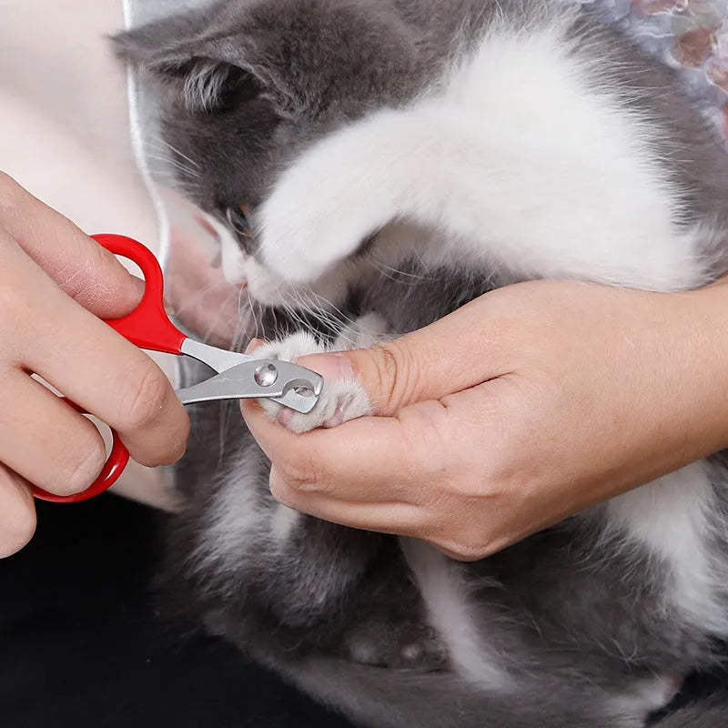 Close-up of pet nail clippers with stainless steel blades and a coloured rubberised handle.