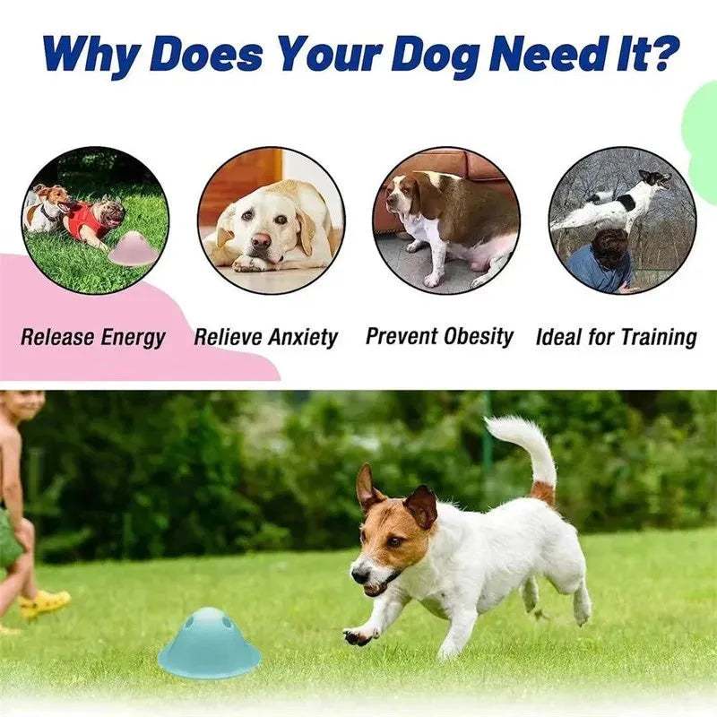 Green hidden treat dog chew toy with snack slots on a smooth surface for interactive puzzle play