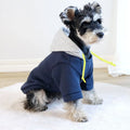 Dark red dog hooded pullover with contrast colour detailing shown on a medium-sized dog