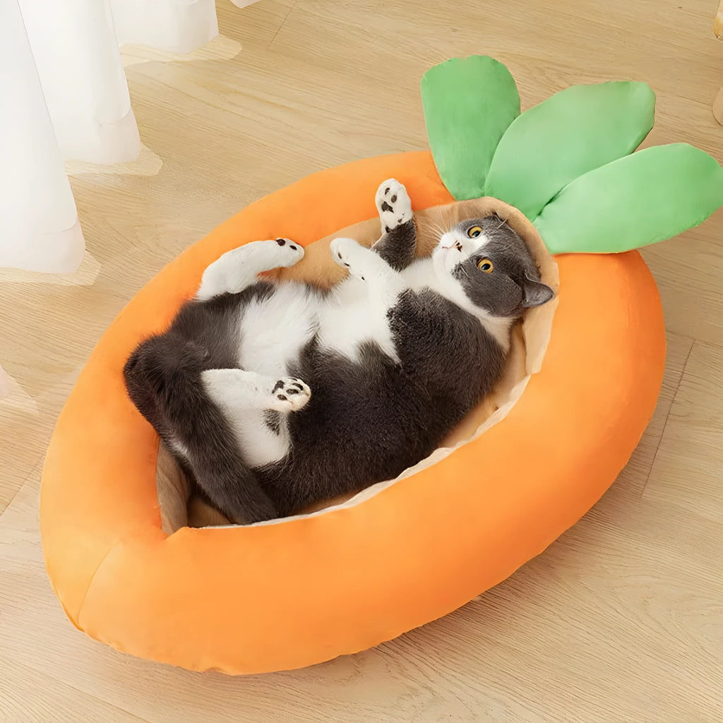 Carrot-shaped double-sided pet mat for dogs on a floor