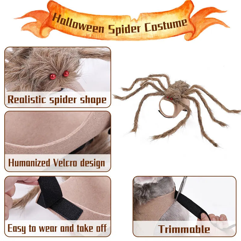 Grey and black spider costume on a dog for Halloween