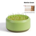Blue hydroponic cat grass kit with soilless cup and five seed packs for indoor growing.