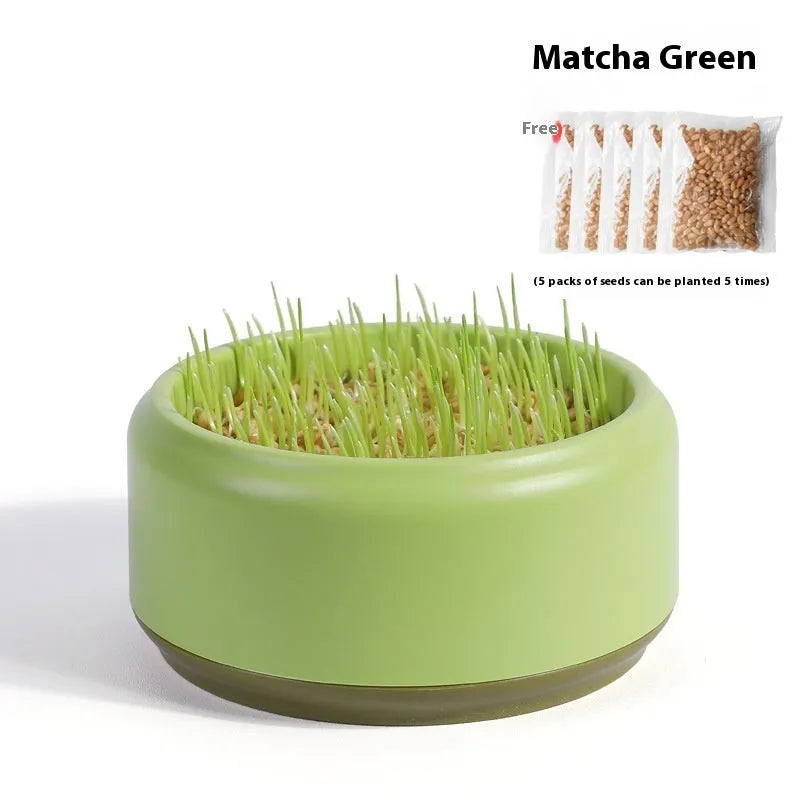Blue hydroponic cat grass kit with soilless cup and five seed packs for indoor growing.