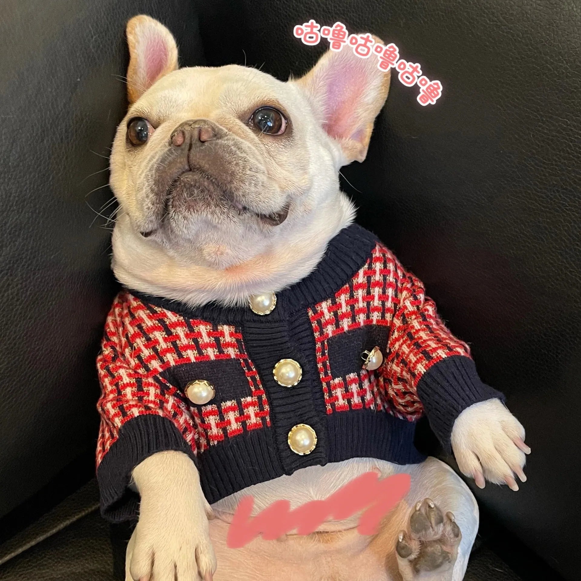 Red wool winter dog sweater with cute print for small and large dogs