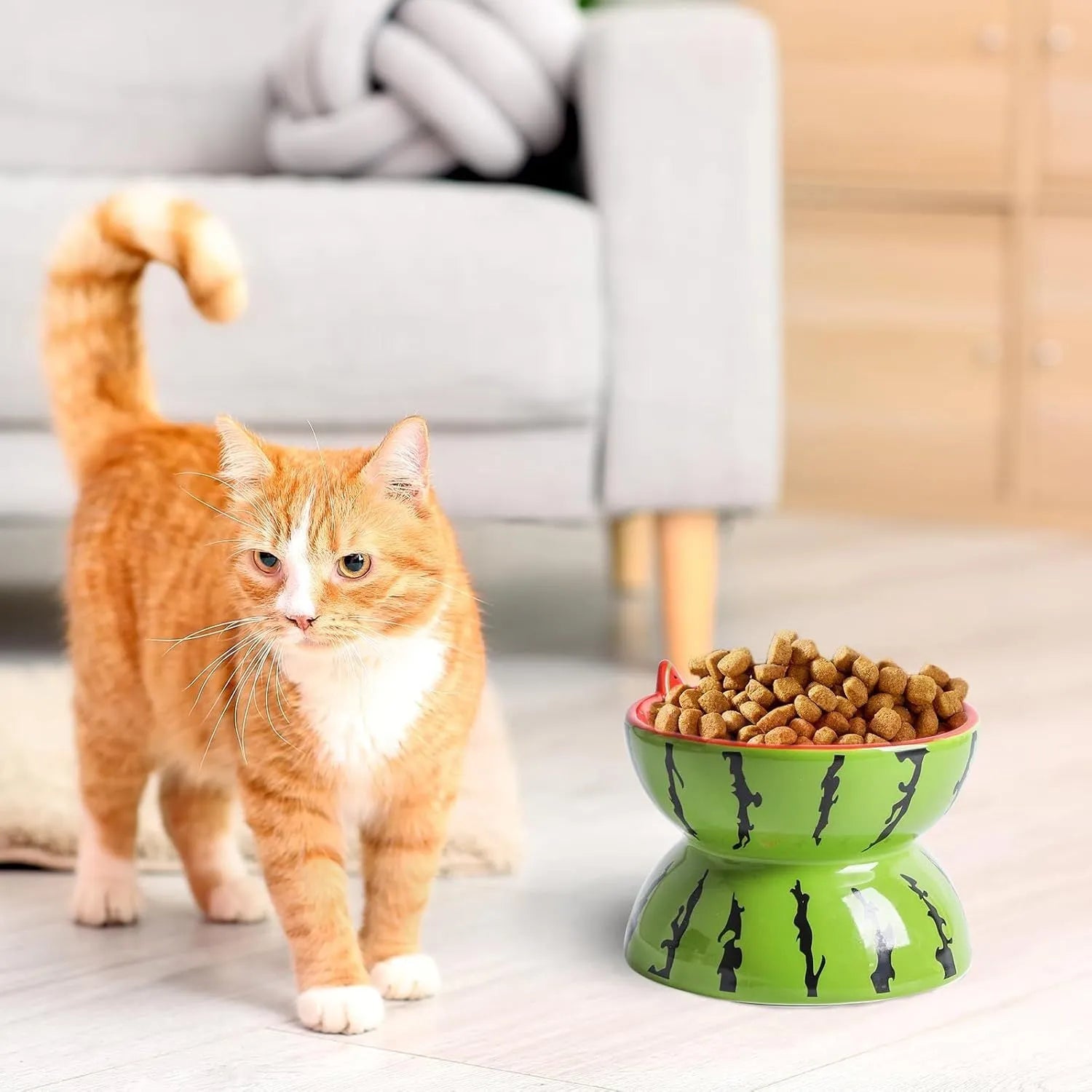 Ceramic raised cat bowl with tilted design in fruit pattern, elevated feeding dish for cats and small dogs
