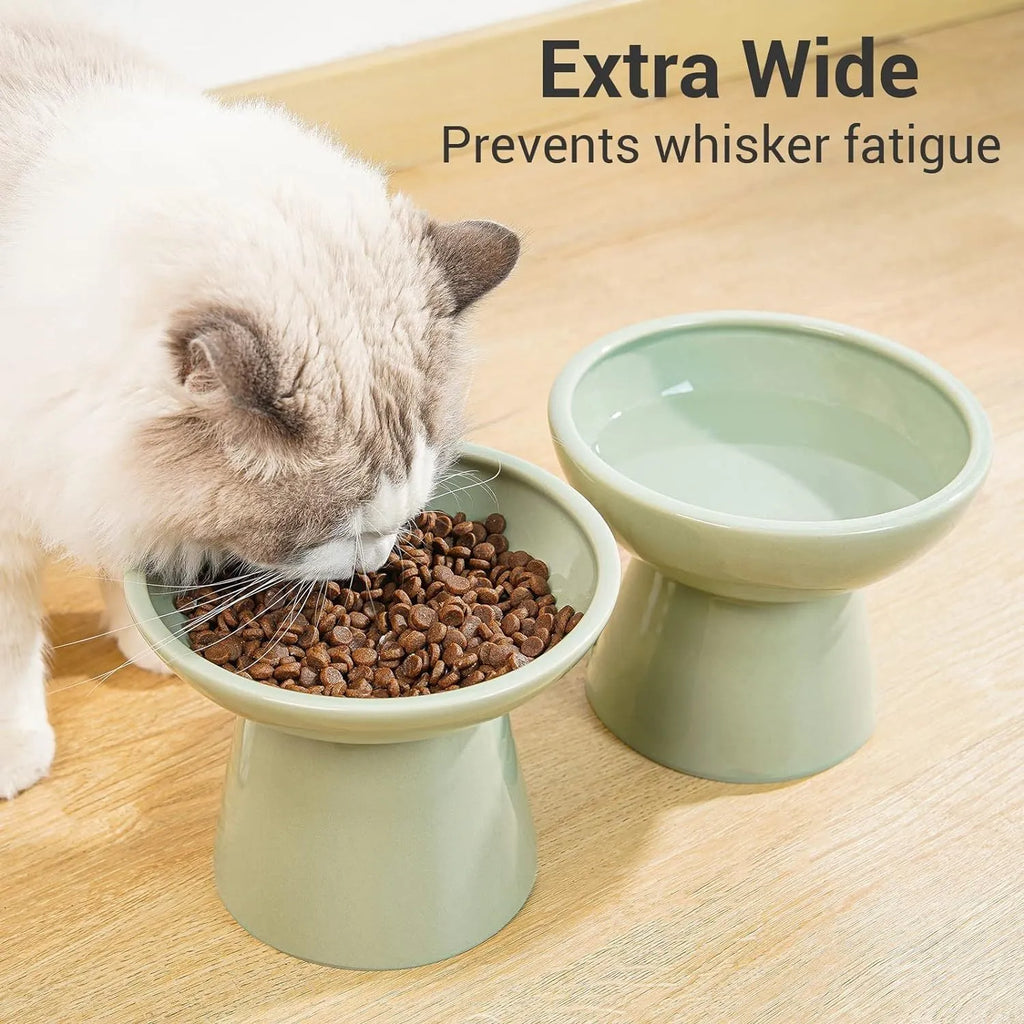 A wide, shallow ceramic cat bowl in an elevated stand, shown in blue, green, pink, or white.