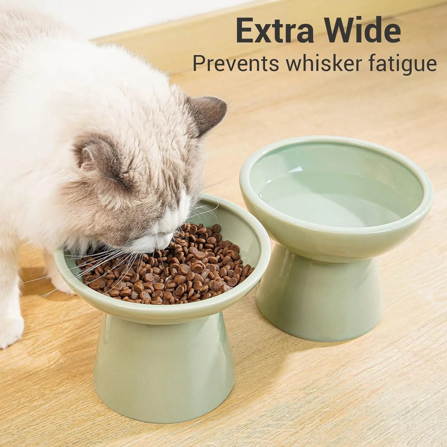 A wide, shallow ceramic cat bowl in an elevated stand, shown in blue, green, pink, or white.