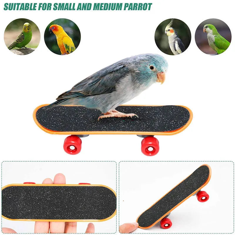 Wooden parrot foraging puzzle toy set for pet bird enrichment and beak exercise.