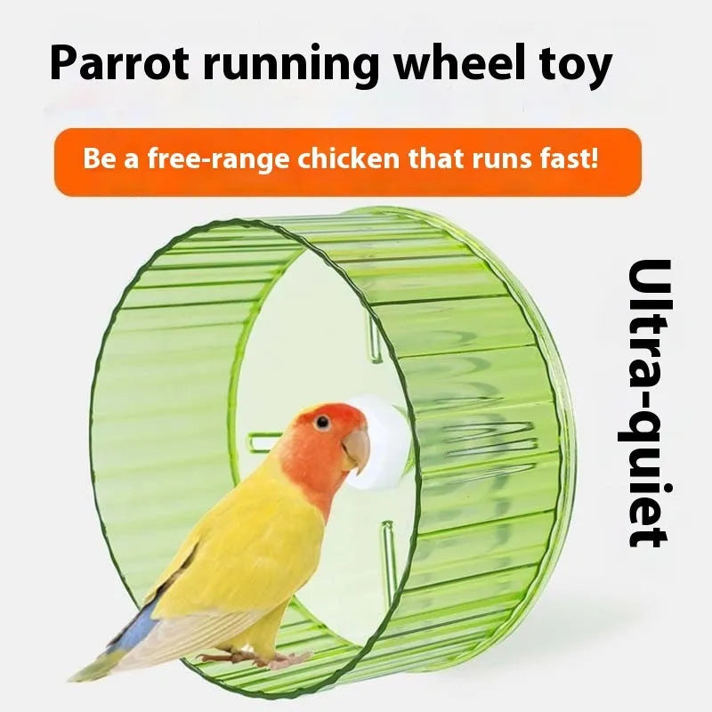 A transparent plastic parrot exercise running wheel toy for a bird cage.