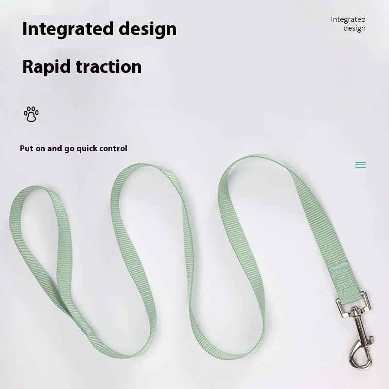 Solid colour polyester dog hand holding rope in blue, shown with a choice of width specifications.