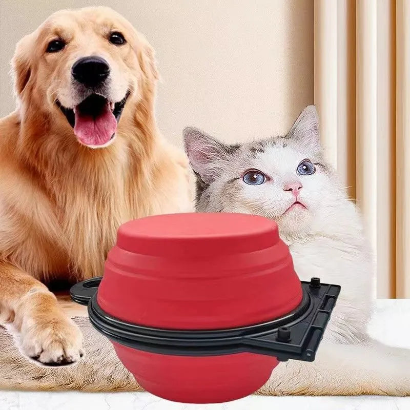 Blue folding silicone double pet bowl for dogs and cats, shown collapsed and unfolded.