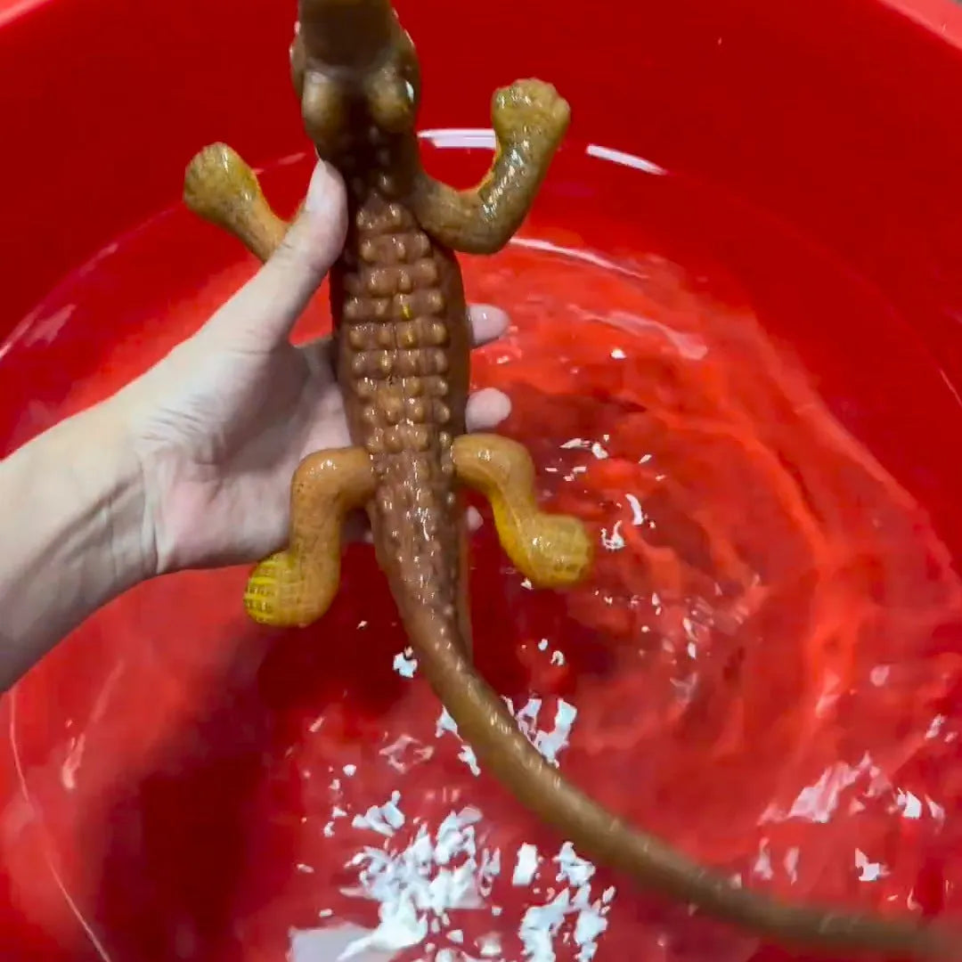 Novelty bubble big bead toy in crocodile shape expands when soaked in water