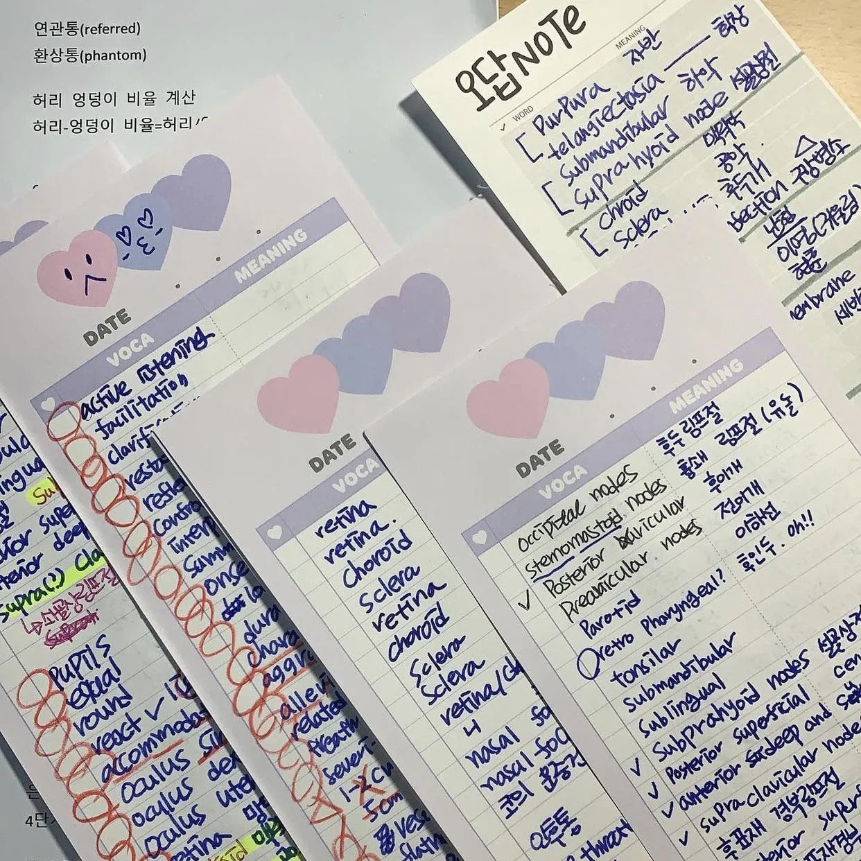 Vertical format English vocabulary notepad in B5 half size showing pink cover and double-sided printed pages