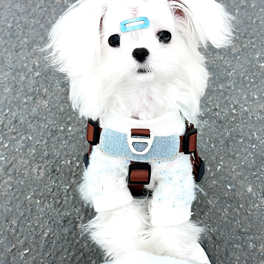 Brown anti-bite nylon dog chest harness with vest style and zinc alloy fittings on small dog