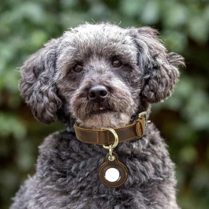 Brown handmade double-sided cowhide dog collar with tracking halter positioning