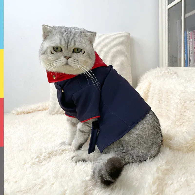 A dog or cat wearing a hoodie photo prop in a Tiger Staff Yuren colour pattern, sized small or medium.