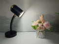 Double-headed photography streaming lamp with adjustable metal arms in black minimalist design