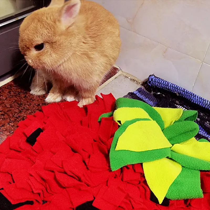 Red and green strawberry shaped pet slow feeder mat for dogs and cats on floor