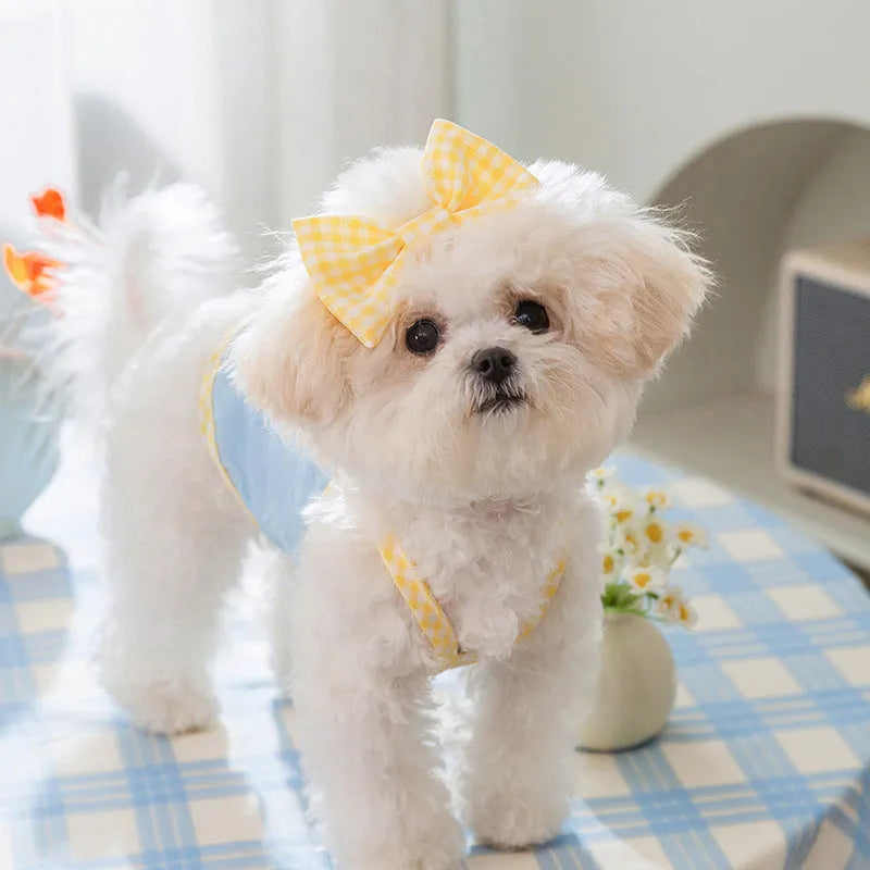 Small dog wearing a blue elastic vest with bow suspenders and a raised heart texture design.
