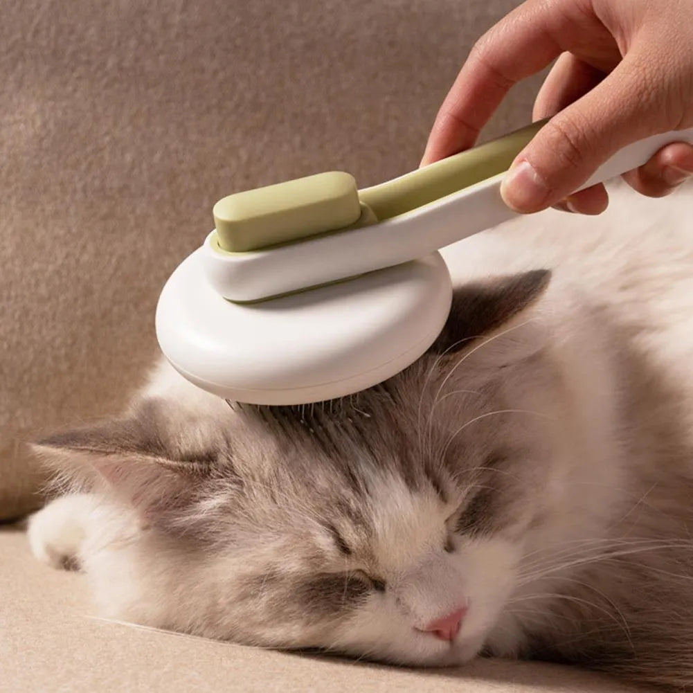 Automatic pet grooming brush with round head and stainless steel pins in blue, green, or pink.