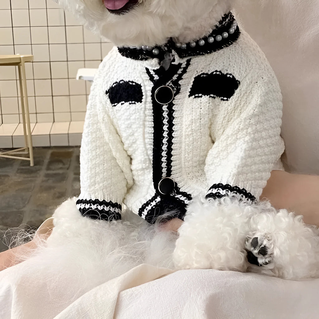 Korean style white dog sweater with pearl collar on small breed dog