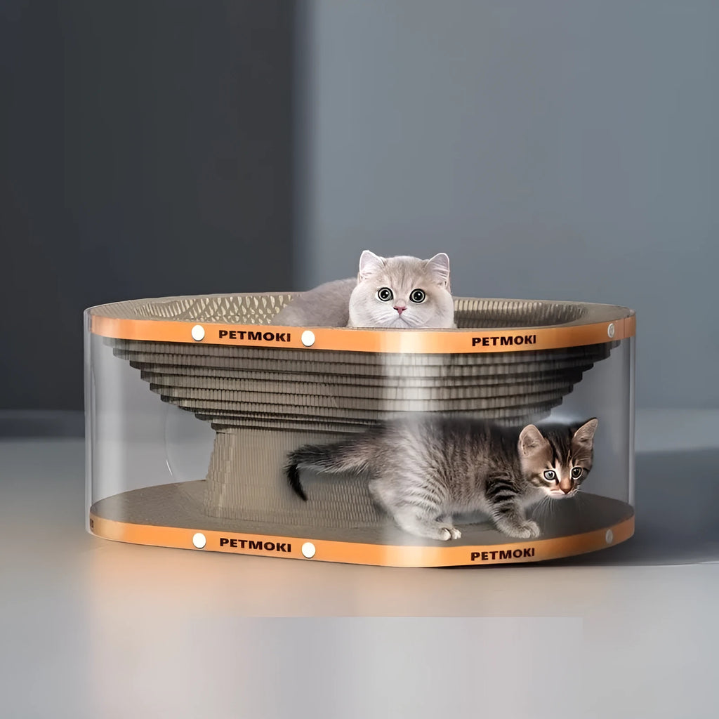 White transparent PVC and cardboard cat scratch board with integrated tunnel and nest.