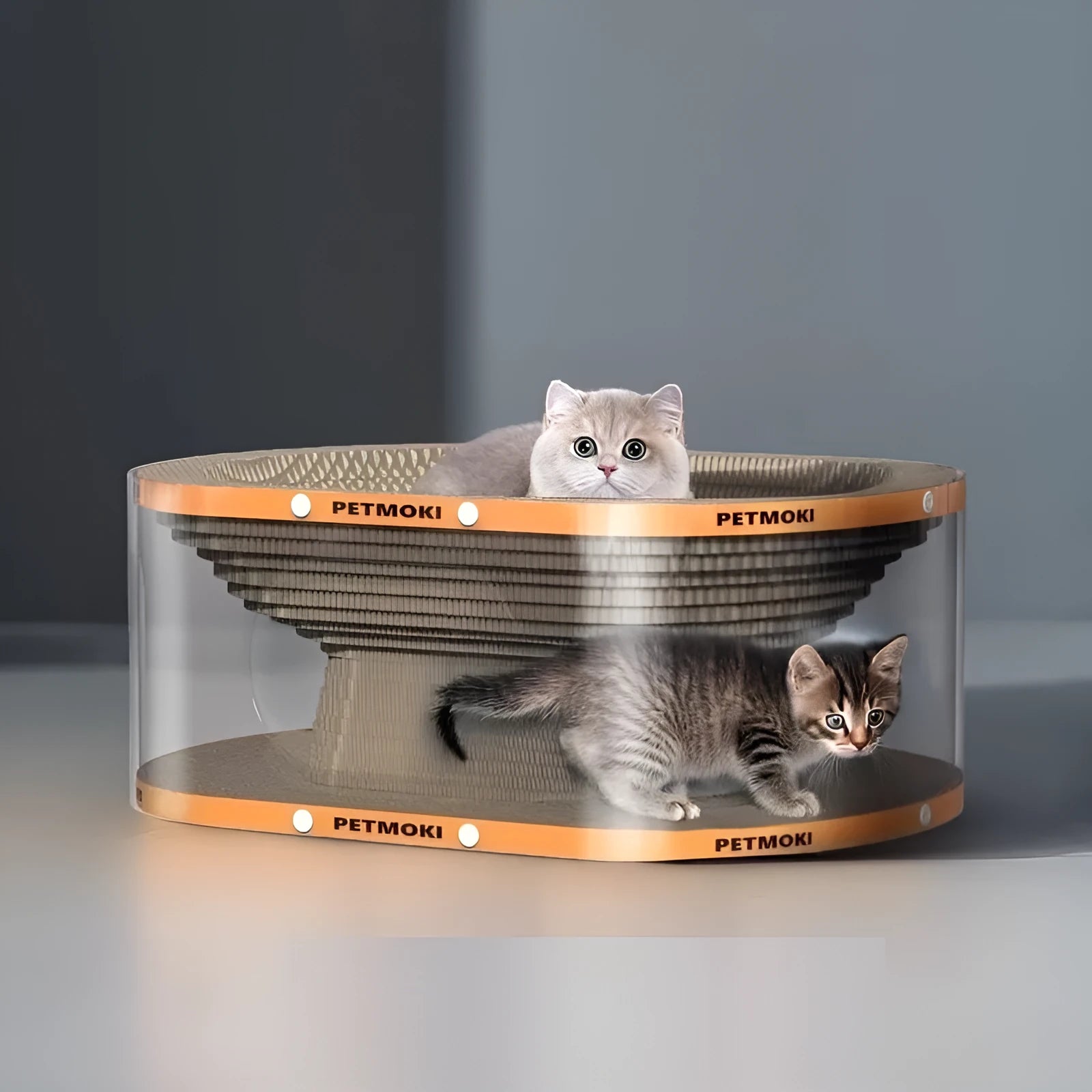 White transparent PVC and cardboard cat scratch board with integrated tunnel and nest.