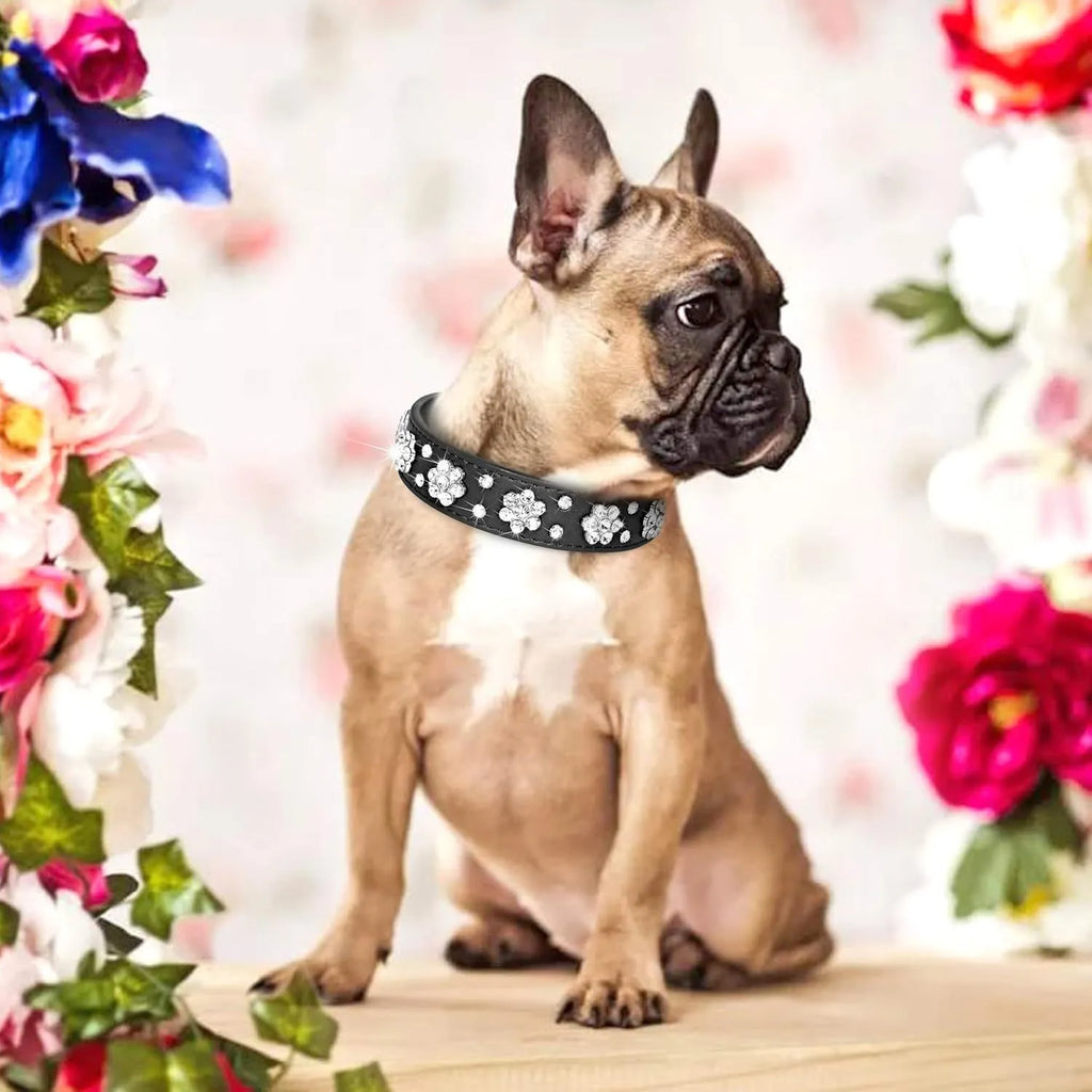 Close-up of a decorative black dog collar with sparkling rhinestone flowers and studs on PU leather.