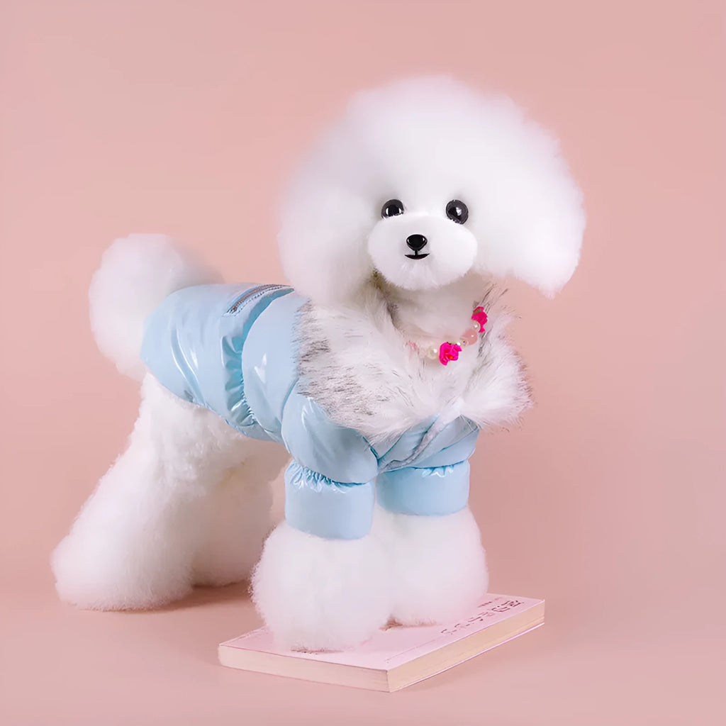 Blue British style cotton dog jacket showing traditional design for autumn and winter wear