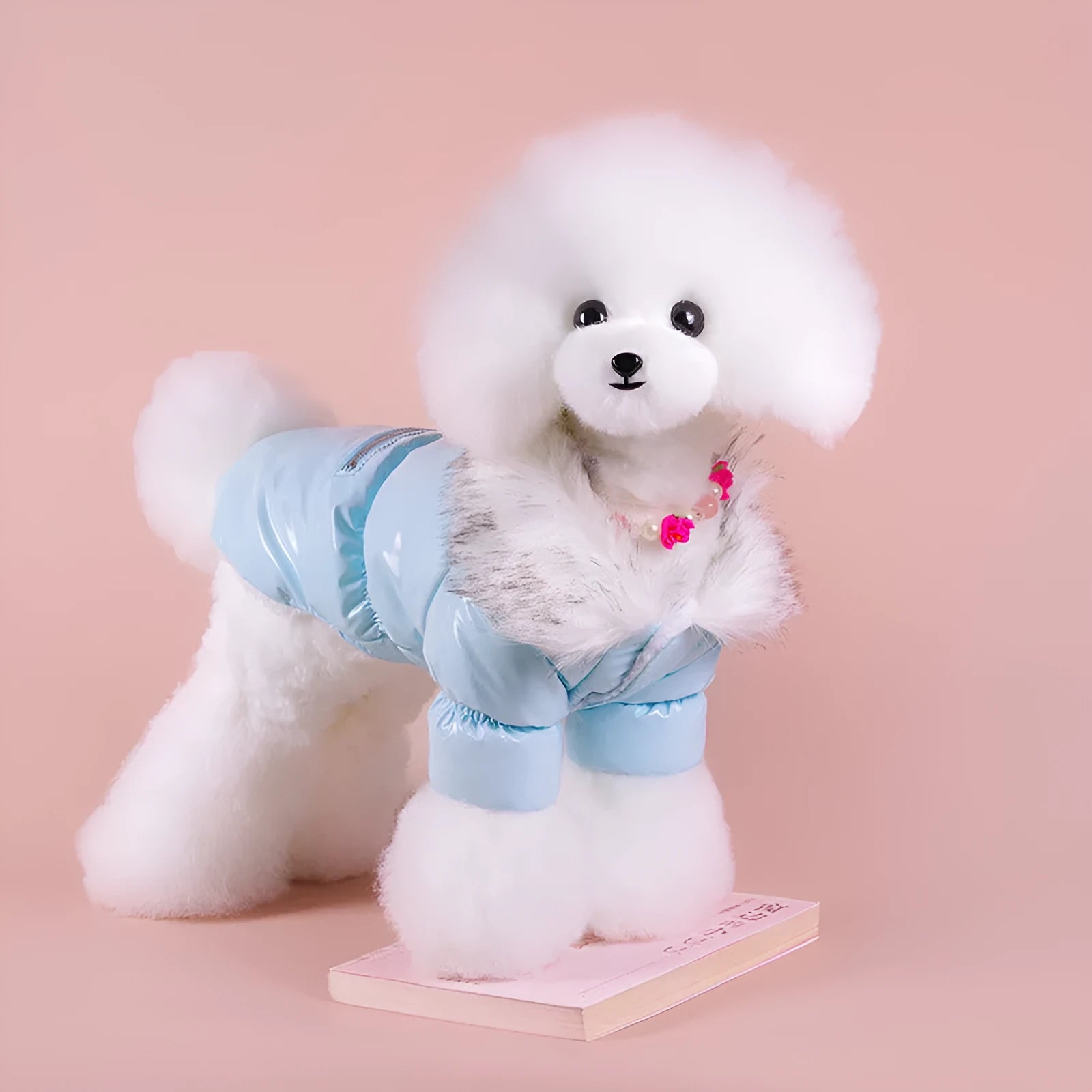 Blue British style cotton dog jacket showing traditional design for autumn and winter wear