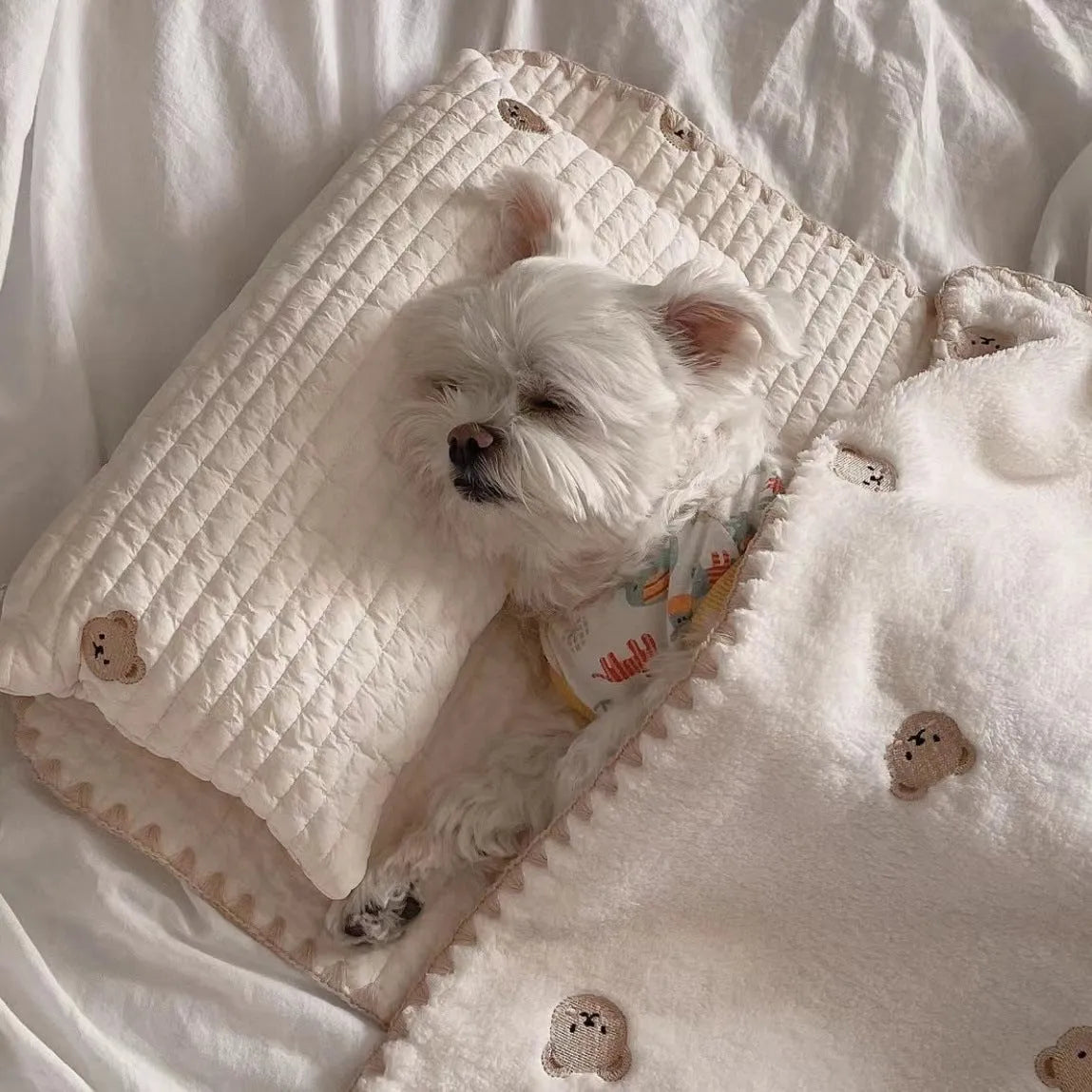 Simple Bear design dog bed set with pillow, mattress and comforter on grey background