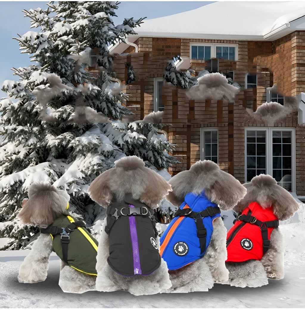 Adjustable chest strap dog winter coat in polyester with cotton-padded lining