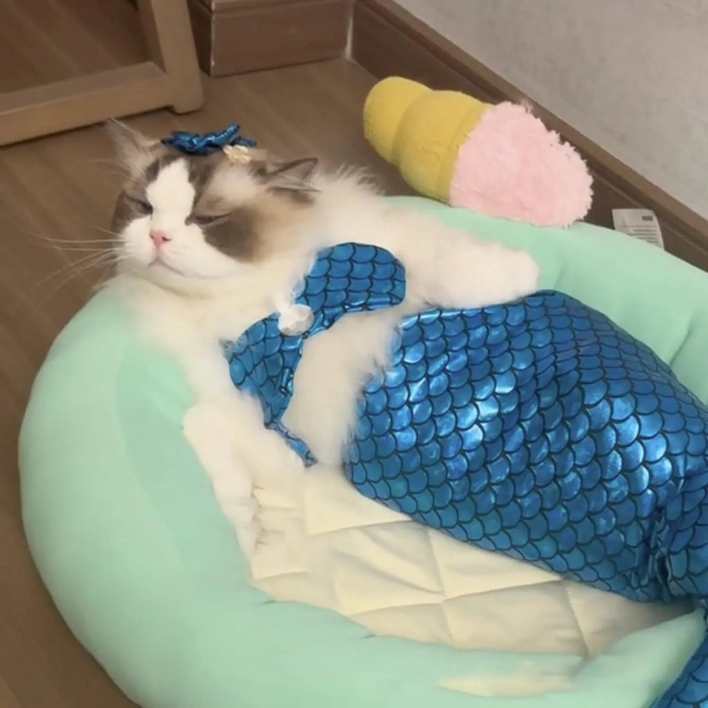 Blue mermaid costume on a cat showing the long glittering fishtail and elastic chest strap.